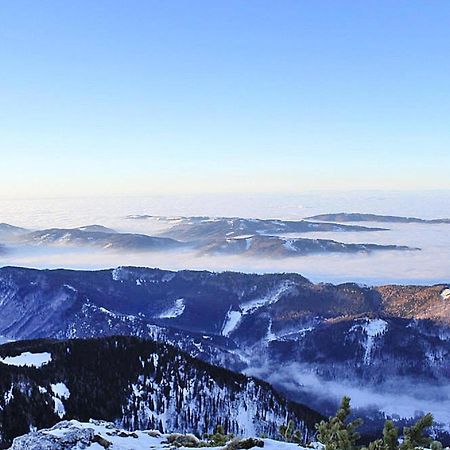Feriendorf Am Feuerkogel, Ebensee Bagian luar foto
